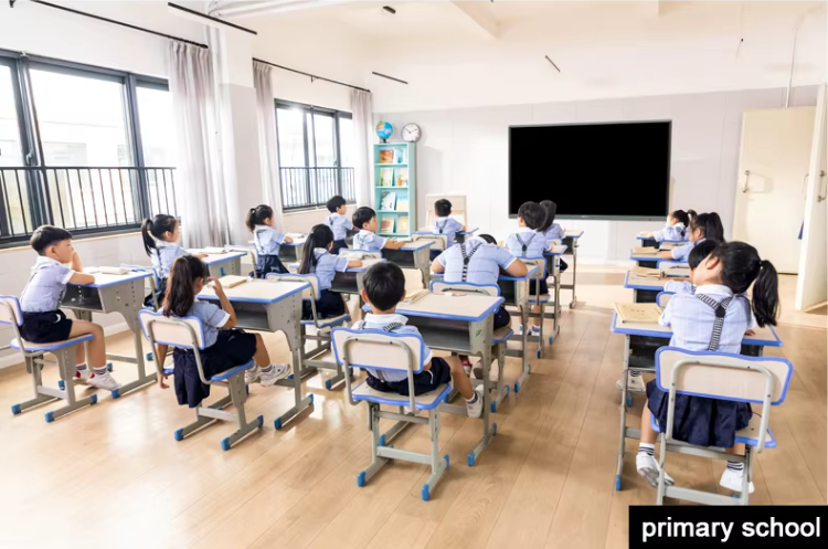 Interactive Whiteboard for Schools 18.png
